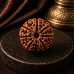 7 mukhi rudra ksh bola maine