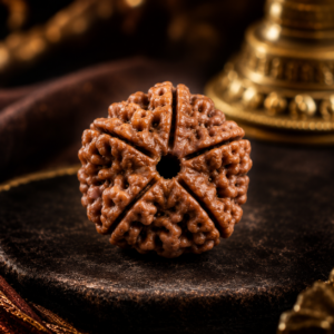 Rudraksh 5 mukhi